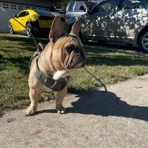 Meet your Posher, Real